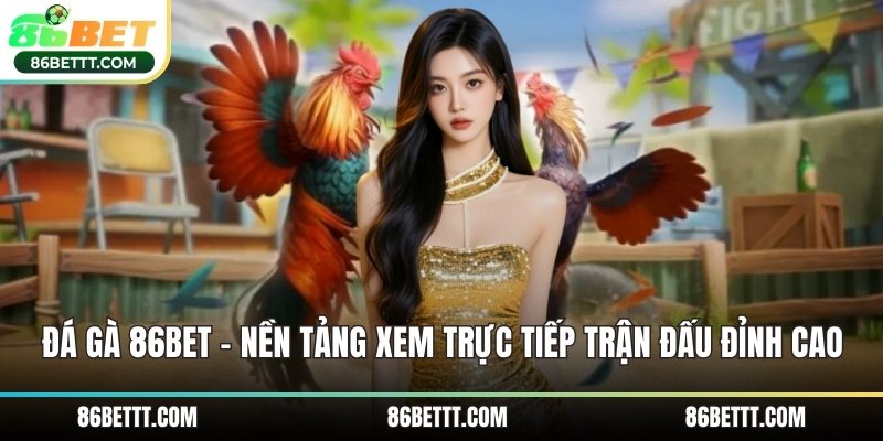 Đá gà 86Bet